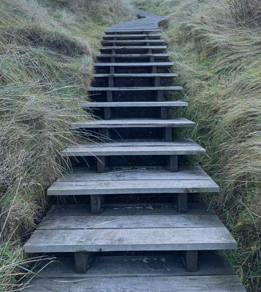 Erhvervsrengøring